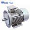 y2 Series Three Phase Electric Motor for Food Processor