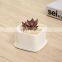 ceramic white square succulent plant pot