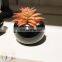 K&B High quality cheap indoor home decor artificial succulent plant with ceramic pot