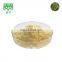 Bulk broken wall Pine tree Pollen Extract Powder