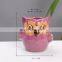 Wholesale Cartoon Mini Animal Owl Small Nursery Creative Flower Pot