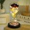 Led Galaxy 24k Gold Eternal Rose Light Up Rose Flower Gift Glass Dome Flower Lamp For Home Christmas Decorative Holiday Lighting