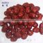 supply natural dried red date