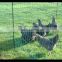 Portable plastic fencing net for chicken&sheep&deer/poultry netting