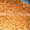 Aprciot iqf dice / frozen apricot half with good price