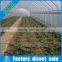 High tunnel single span vegetable flower dome greenhouse in China