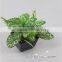 2016 new product high quality decorative artificial small bonsai for table decoration