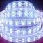 120led/m 14.4w/m IP33 IP65 PI68 low voltage 5050 double side different color glue flexible led strip