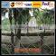 Woven rope mesh