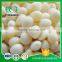 (Various Size) Delicious Garlic Cloves In Brine