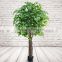 Fake Decorative Ficus Tree Artificial Ficus Tree Plant For Landscape Project