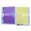 Middle East PVC Plastic File, Medical Record (BLY8-2004PPMF)