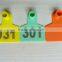 orange pig ear tag