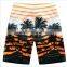 Daijun OEM new design cheap polyester stripe palm beach shorts hot sale blank board shorts