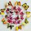 12Pcs Creative Butterflie 3D Wall Stickers Removable Home Decors Art DIY Plastic Decorations
