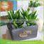 Home Office Wall Hanging Decor Vertical Garden Art Floral Terrarium cheap aloe potted artificial plant with roots