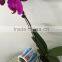Professional factory high quality food products labels self-adhesive stickers printing