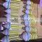 12W 14W 16W 20W 24W 32Wled cob spiral energy saving lamp E27 LED Corn Bulb