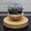 amazing fly air plant pots spinning air bonsai