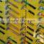 HIGH QUALITYclaw Hammer With Plastic Handle TPR Coating Hammer