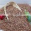 red sorghum corp 2016