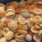 Iqf Frozen Apricot Halves