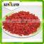Dried Goji Berry Goji All Sizes 250 280 350 450 550grains 2015 New Crop
