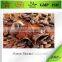 BNP ISO & HALAL Professional supply 100% natural high quality low fat cocoa powder