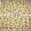 Raw Blanched Peanut/cheap Blanched Peanuts/organic Blanched Peanuts