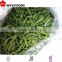 price for frozen green bean variety HEIHU 2015 crop