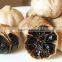 high quality China natural black garlic Fermented with certificate