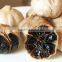 Professional Black Garlic 500g/bag with A Discount