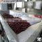 Stainless steel professional microwave red jujube dehydrator and dryer machine