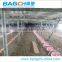 Broiler Chicken Shed Equipment for Poultry