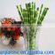 WY-144 Natural disposable clean cheap bamboo drinking straw