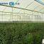 CO2 Laser Supplement System