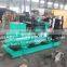 Electric diesel generator