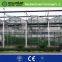 tunnel plastic greenhouse film agriculture