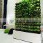 fake grass wall uv /fire resist factory (6sqm ) china artificial plant wall