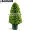 Topiary figure ornaments milan leaves landscape grass ball