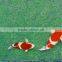 Good Quality Durable Biological filter mat for fish