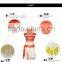 2017 new Girl Women Movie Polynesia princess Moana Costume Dress halloween