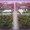 2015 new elastic rubber band DIY loom bands sets