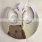 FSM Fish Sliver Raised Plastic Car Badge Emblem Evolved With Legs