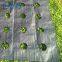 agricultural anti weed mat vegetable garden woven weed cloth mats
