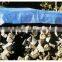 white/black or black/silver silo cover , bunker silage cover for corn, grain, fodder