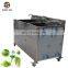 commercial air bubble strawberry plum vegetable fruit washing machine cleaner