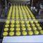 Professional  The Best Seller Commercial Small Biscuit Making Machine Small Biscuit Making Machine