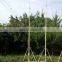 15m 50ft Radio masts and towers for telecommunication