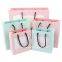 Wholesale Single Stripes Printed Custom Logo Gift Paper Bag with Cotton Handle